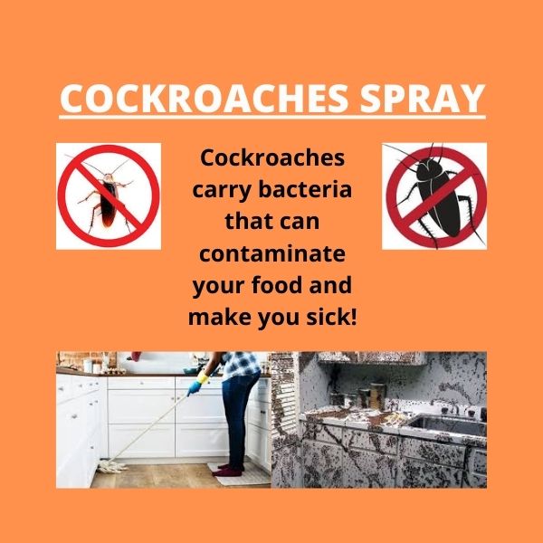 cockroaches spray