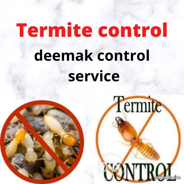 termite/deemak control